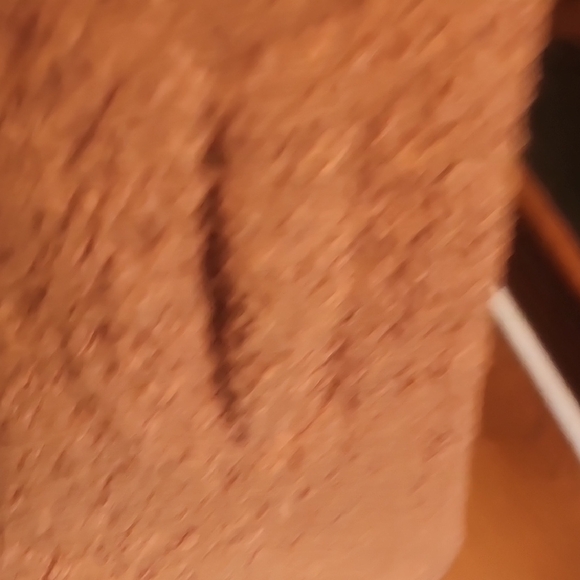 Ashley Stewart Cozy Brown Teddy Jacket NWOT Size 18/20 – Plush & Warm - Picture 5 of 6